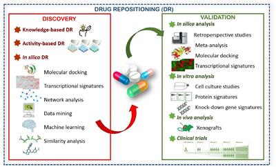 Frontiers | Drug Repositioning For Effective Prostate Cancer Treatment